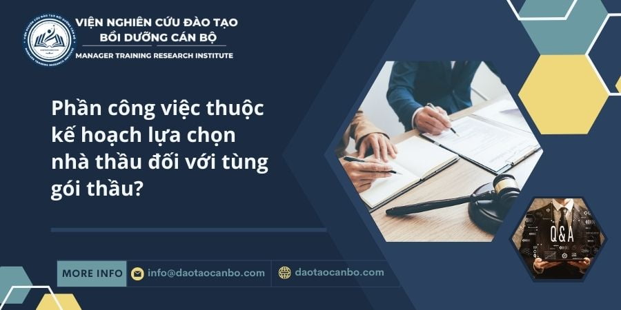 Phần c&ocirc;ng việc thuộc kế hoạch lựa chọn nh&agrave; thầu đối với t&ugrave;ng g&oacute;i thầu?